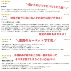 ラグ下敷きマット　ごろんの画像