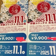 宗像フェス1DAYチケットの画像