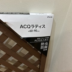 ラティスの画像