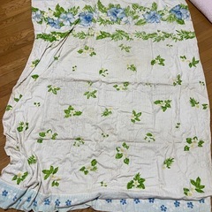 (値下げ相談可⭕️)未使用タオルケットの画像