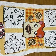 (値下げ相談可⭕️)未使用タオルケットの画像