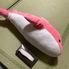 大きいイルカのぬいぐるみの画像