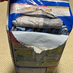 マナーウェア 男の子用 Lサイズの画像