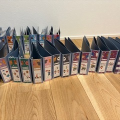 ペッピーピクチャーカード(カンガルー1)  収納ふファイルセットの画像