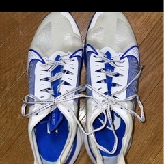 NIKEランニングシューズの画像