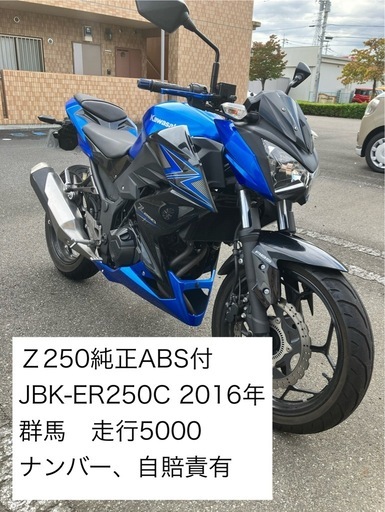 群馬　Kawasaki Z250 2016年式 ABS付き 走行5000km