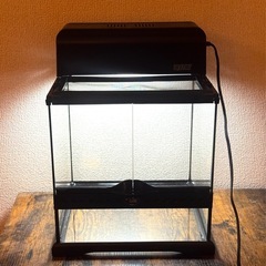 東三河、美品、グラステラリウム3030の画像