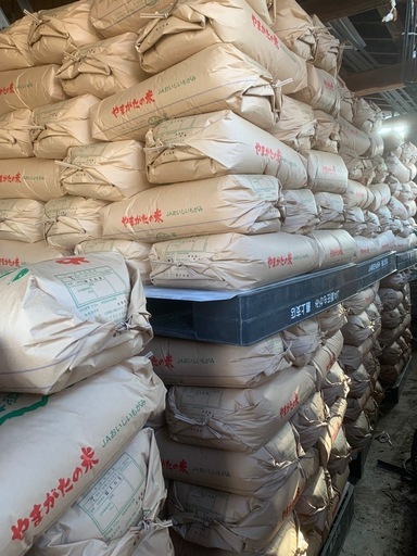 新米⭐︎山形県産▲はえぬき！30kg！玄米！数量限定！