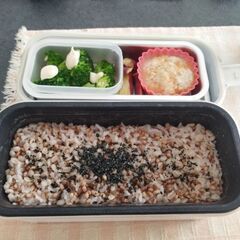 サンコー　弁当箱炊飯器の画像