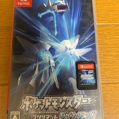 ポケットモンスター ブリリアントダイヤモンド Switch ソフトの画像