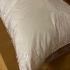 東洋紡アルファイン　 洗える防ダニ枕（ダニ0％）43cm×63cm 日本製①の画像