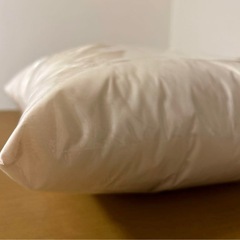 東洋紡アルファイン　 洗える防ダニ枕（ダニ0％）43cm×63cm 日本製①の画像