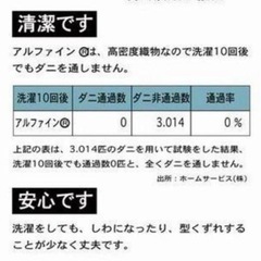 東洋紡アルファイン　 洗える防ダニ枕（ダニ0％）43cm×63cm 日本製①の画像