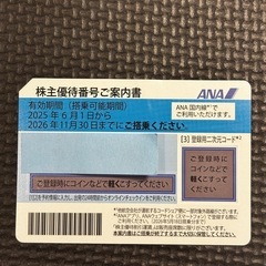 ANA 株主優待券 2枚（有効期限2024年12月～2026年11月）各300円／宜野湾市受け渡し限定の画像