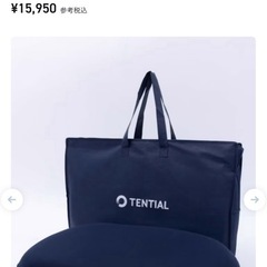 TENTIAL BAKUNE まくら　美品の画像