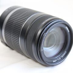 Canon EFS 55-250m 1:4-5.6 ISの画像
