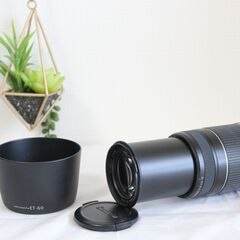 Canon EFS 55-250m 1:4-5.6 ISの画像