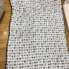 (値下げ相談可⭕️)未使用毛布や掛け布団の画像