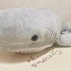 サメBIGぬいぐるみ約110cmの画像