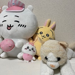 かわいいぬいぐるみの画像