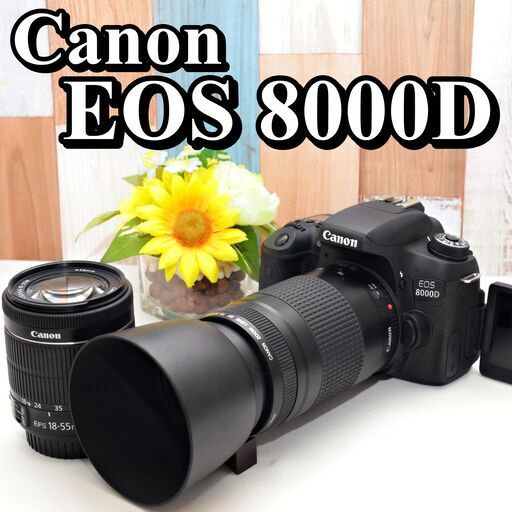 ☘️良品✨Wi-Fi搭載☘️ Canon EOS 8000D 望遠ダブルズーム Amazon.co.jp: Canon Digital SLR Camera EOS 8000D : Electronics