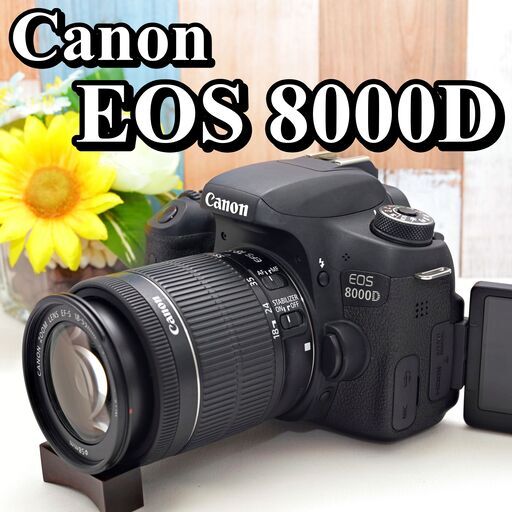 全国送料無料】 Canon EOS 8000D ✨Wi-Fi転送 元箱付き 高性能