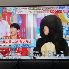 4Kモニター65型　ジャパンネクストの画像