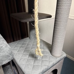 ほぼ新品大型キャットタワーの画像