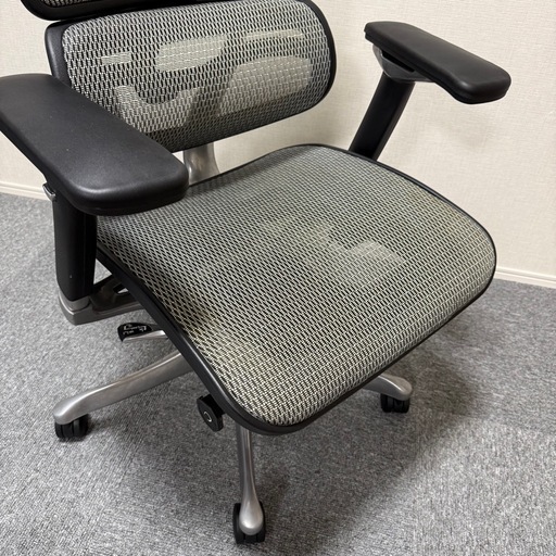 エルゴヒューマンプロ 定価10万円超