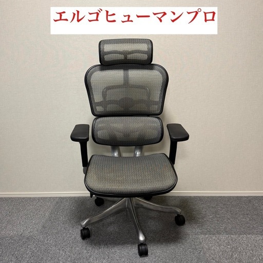 エルゴヒューマンプロ 定価10万円超