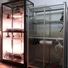 【美品】ガラス温室 植物育成セット ピカコーポレーション 丸株育成実績有りの画像