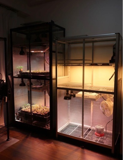 【美品】ガラス温室 植物育成セット ピカコーポレーション 丸株育成実績有り