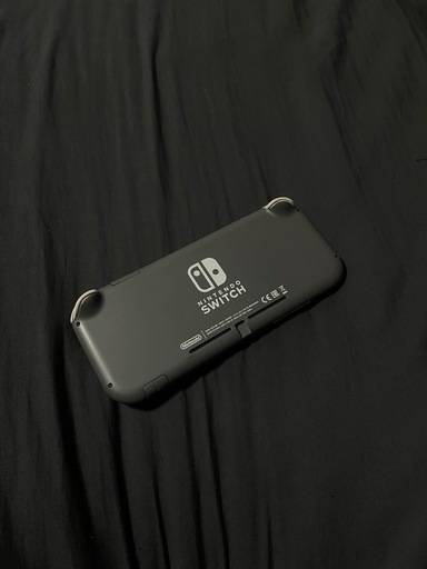 Nintendo Switch Lite〈グレー〉