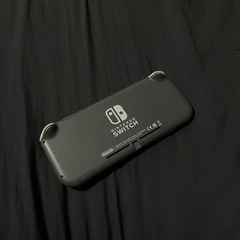 Nintendo Switch Lite〈グレー〉 の画像