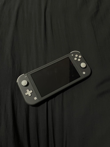 Nintendo Switch Lite〈グレー〉