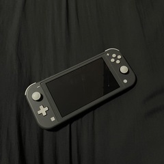 Nintendo Switch Lite〈グレー〉 の画像