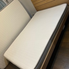 セミダブルベットの画像