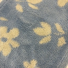 マット花柄ブルーの画像