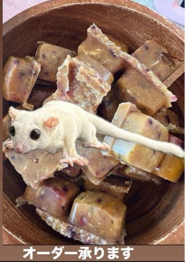 モモンガフード　ペロ飯