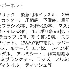 山善YAMAZEN 防災バッグ 30点セット 25Lの画像