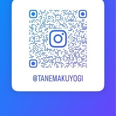募集⭐️10/19ナイトヨガ@ザッパ村の画像