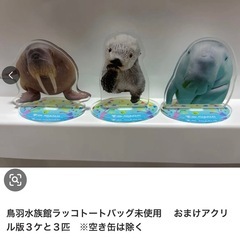 鳥羽水族館ラッコトートバック&アクリル３個の画像