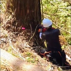 太陽光用地の造成等の画像