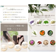 【新品】ミルエ オーガニック シャンプー トリートメント セット 500ml 美容室専売品 アミノ酸シャンプー （シャンプートリートメントセット各500ml） 毛髪診断士監修 ギフトセットの画像
