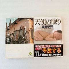 アヒルと鴨のコインロッカー　他　3冊まとめ売り　ミステリ小説　どんでん返し系小説　シャドウ　道尾秀介/アヒルと鴨のコインロッカー　伊坂幸太郎/天使の眠り　岸田るり子　の画像