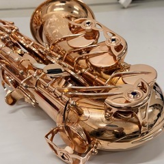 【試奏可能】Yanagisawa ヤナギサワ　A-992PGP アルトサックスの画像