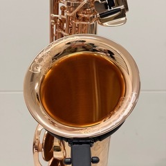 【試奏可能】Yanagisawa ヤナギサワ　A-992PGP アルトサックスの画像
