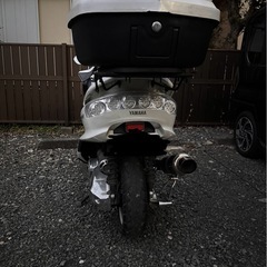 マジェスティ250の画像
