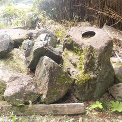 庭石の画像