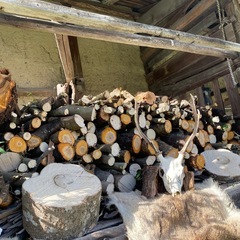 罠猟師さんの画像